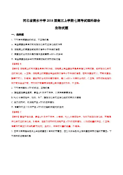 【全国百强校】河北省衡水中学2018届高三上学期七调考试理科综合生物试题(解析版)