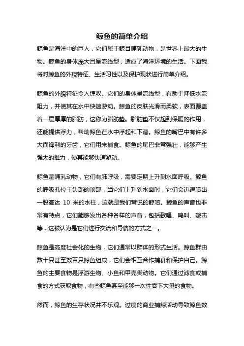 鲸鱼的简单介绍