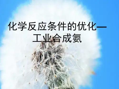 工业合成氨中小学PPT教学课件