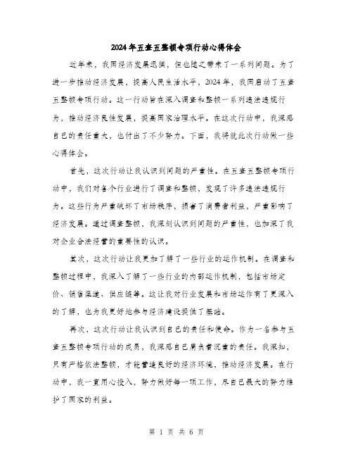 2024年五查五整顿专项行动心得体会(3篇)