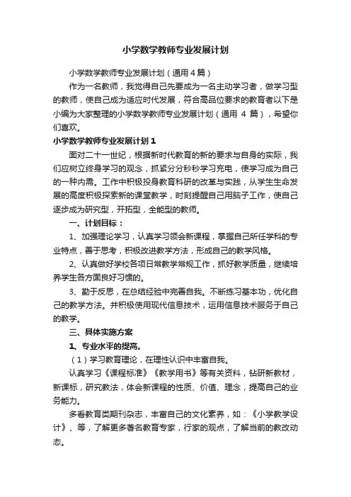 小学数学教师专业发展计划
