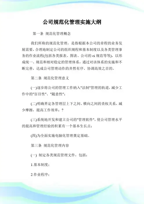 公司规范化管理实施大纲完整篇.doc