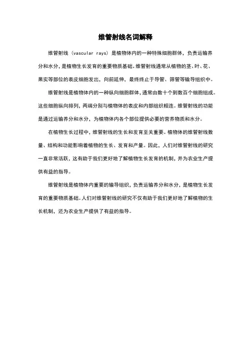 维管射线名词解释