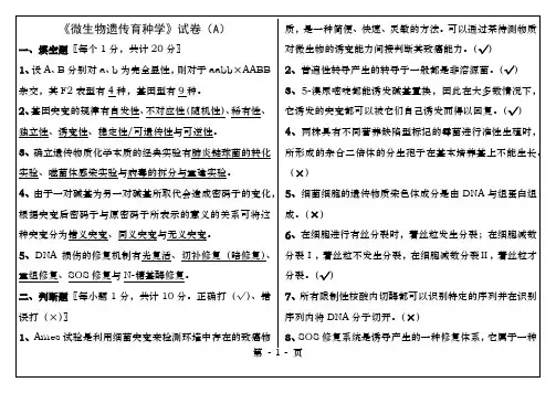 微生物遗传育种学试卷