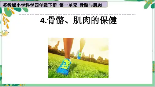 四下科学第1单元《骨骼、肌肉的保健》教学课件