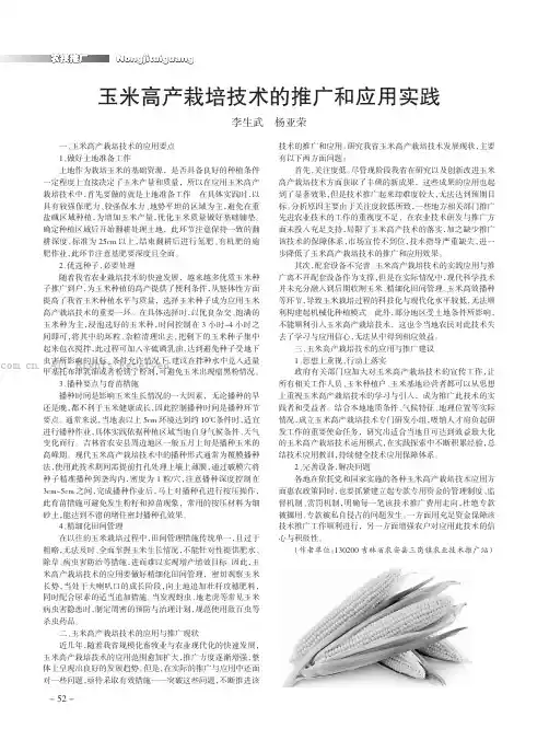 玉米高产栽培技术的推广和应用实践