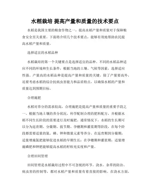 水稻栽培 提高产量和质量的技术要点