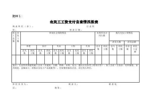 农民工工资支付自查情况报表