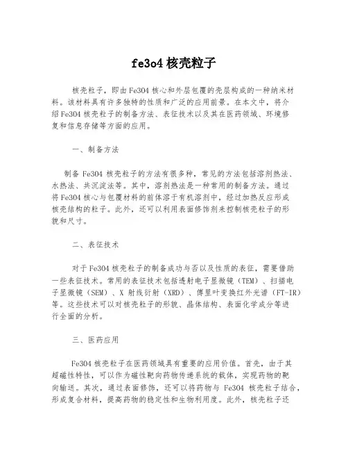 fe3o4核壳粒子