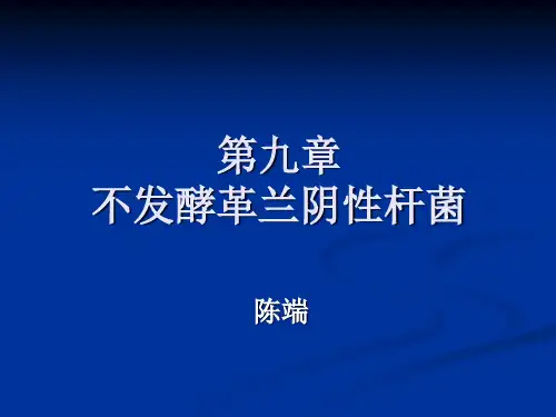 不发酵革兰氏阴性菌