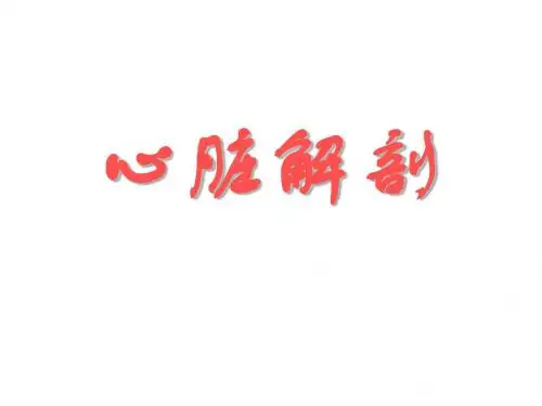 心脏解剖第1部分