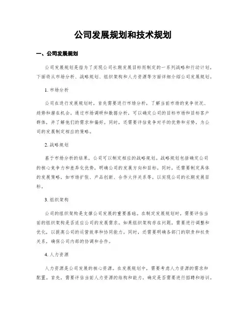 公司发展规划和技术规划