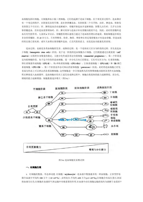 红细胞生理