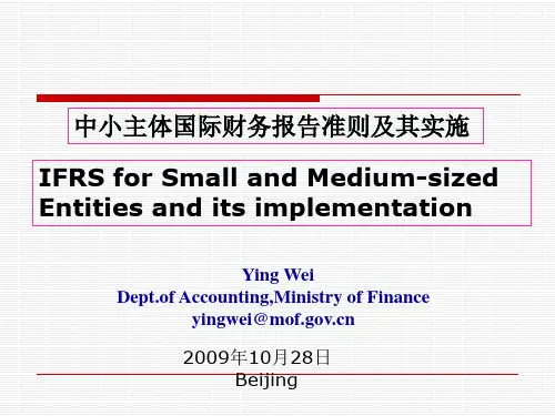 中小主体国际财务报告准则及其实施