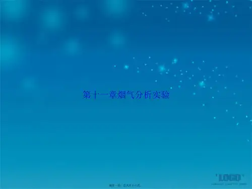 第十一章烟气分析实验讲课文档