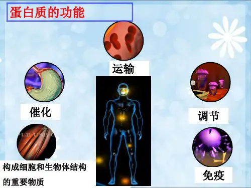 人教版高中生物课件选修一血红蛋白的提取与分离公开课
