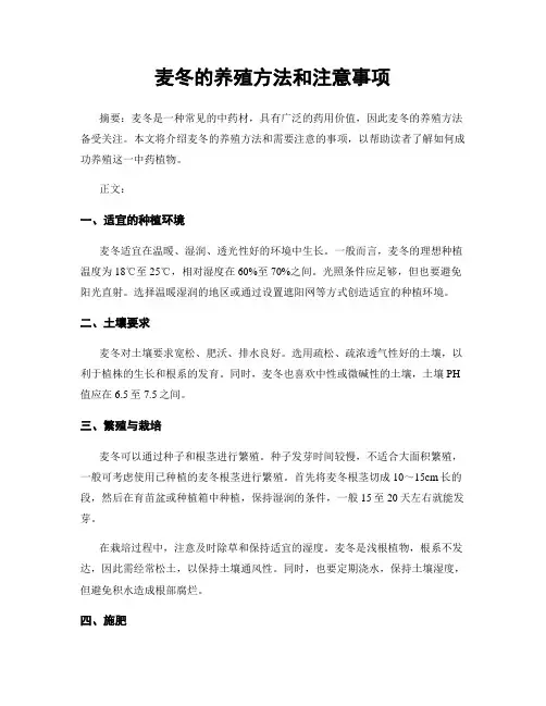 麦冬的养殖方法和注意事项