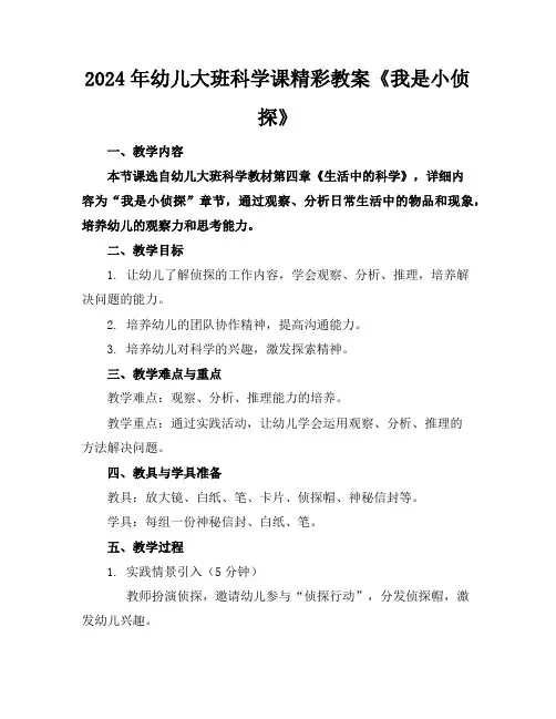 2024年幼儿大班科学课精彩教案《我是小侦探》