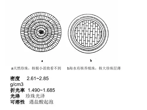 珍珠介绍.ppt
