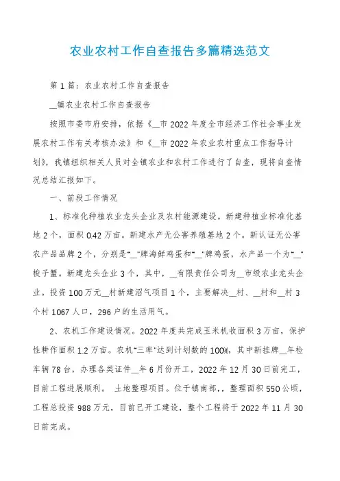 农业农村工作自查报告多篇精选范文