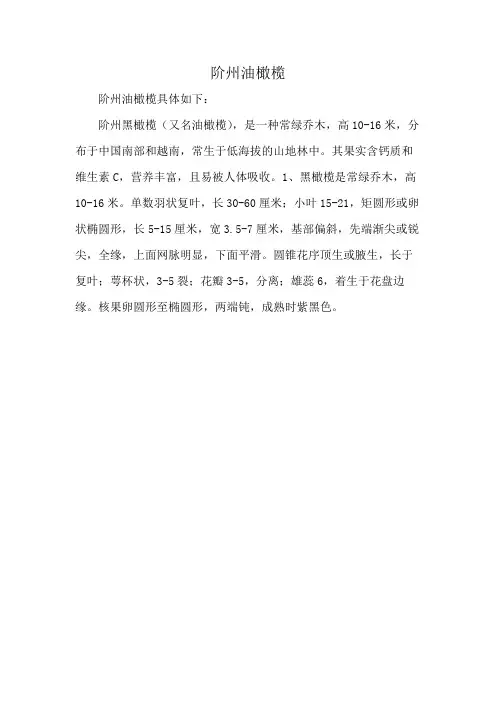阶州油橄榄