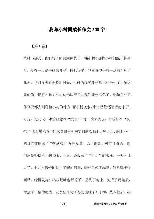 我与小树同成长作文300字