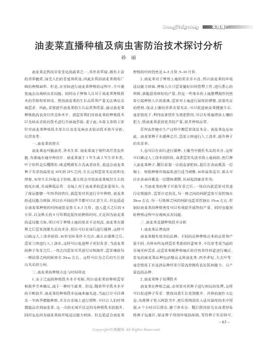 油麦菜直播种植及病虫害防治技术探讨分析