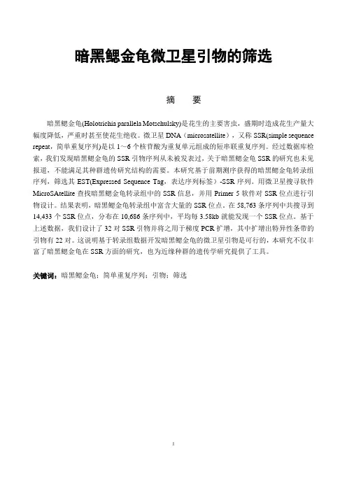 暗黑鳃金龟微卫星引物的筛选