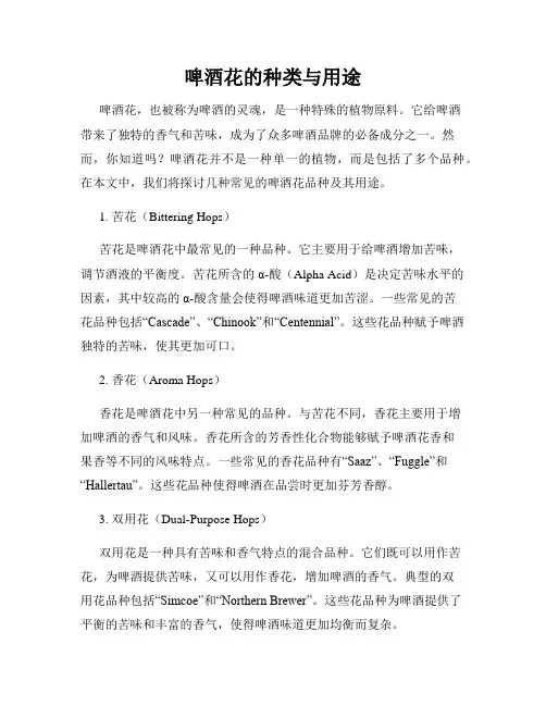 啤酒花的种类与用途