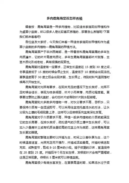 多肉鹿角海棠该怎样养殖
