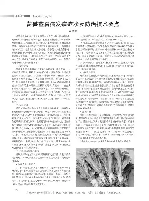 莴笋茎腐病发病症状及防治技术要点
