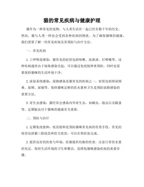 猫的常见疾病与健康护理