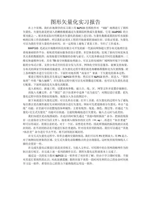 图形矢量化实习报告