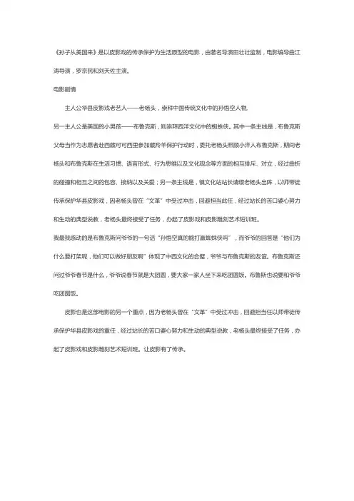 孙子从美国来影评800字