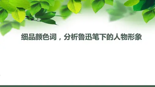 中考语文复习：细品颜色词,分析鲁迅笔下的人物形象课件