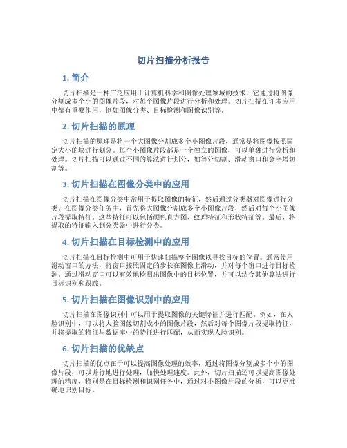 切片扫描分析报告