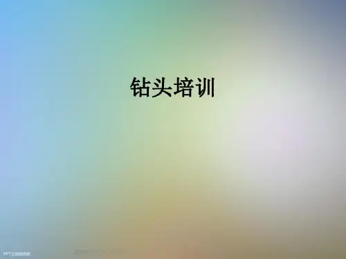 钻头培训_精品文档