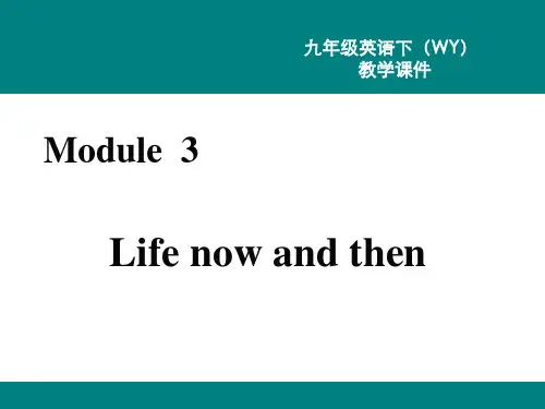 外研版九年级下册英语精品教学课件 Module 3 Unit 2