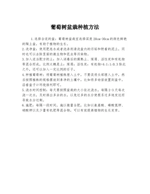 葡萄树盆栽种植方法
