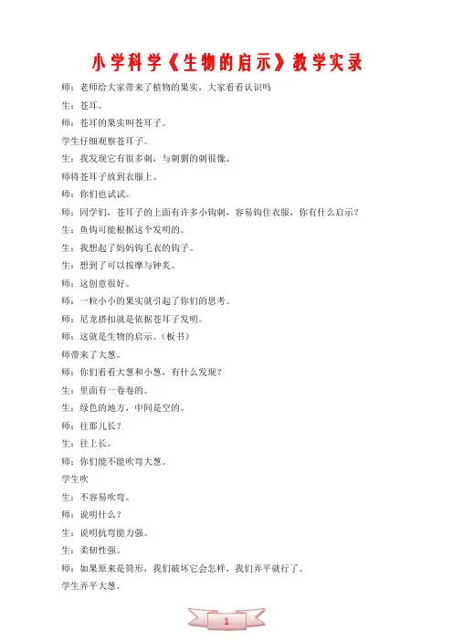 小学科学《生物的启示》教学实录