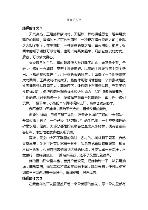捕蝉的作文