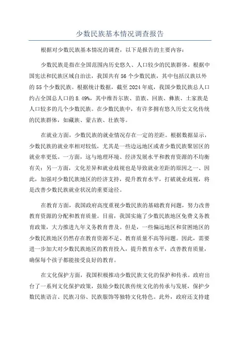 少数民族基本情况调查报告