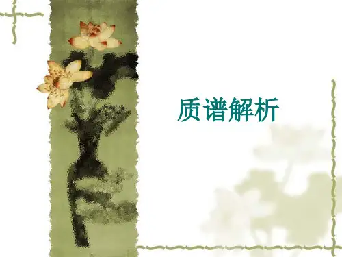 质谱解析