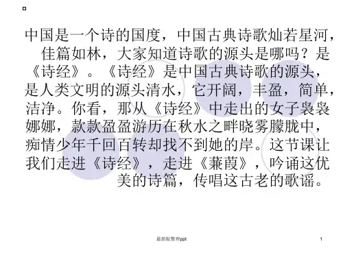 《蒹葭》ppt课件