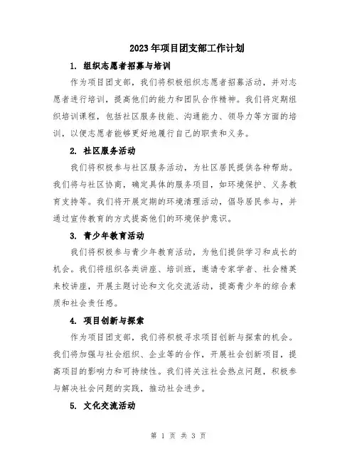 2023年项目团支部工作计划