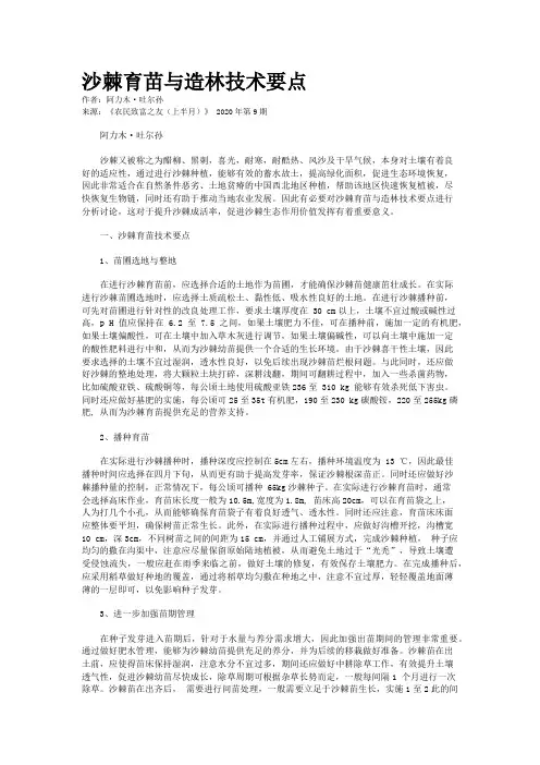 沙棘育苗与造林技术要点