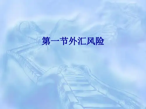 第三章外汇风险防范ppt课件