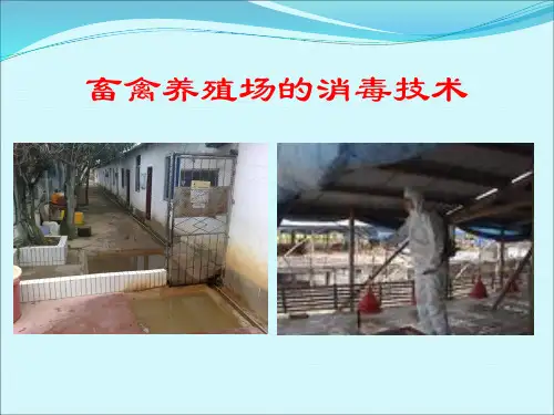 畜禽养殖场的消毒技术..