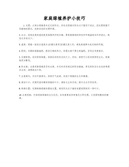 家庭绿植养护小技巧