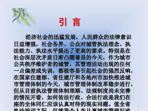 城市管理执法培训课程典型例子ppt课件